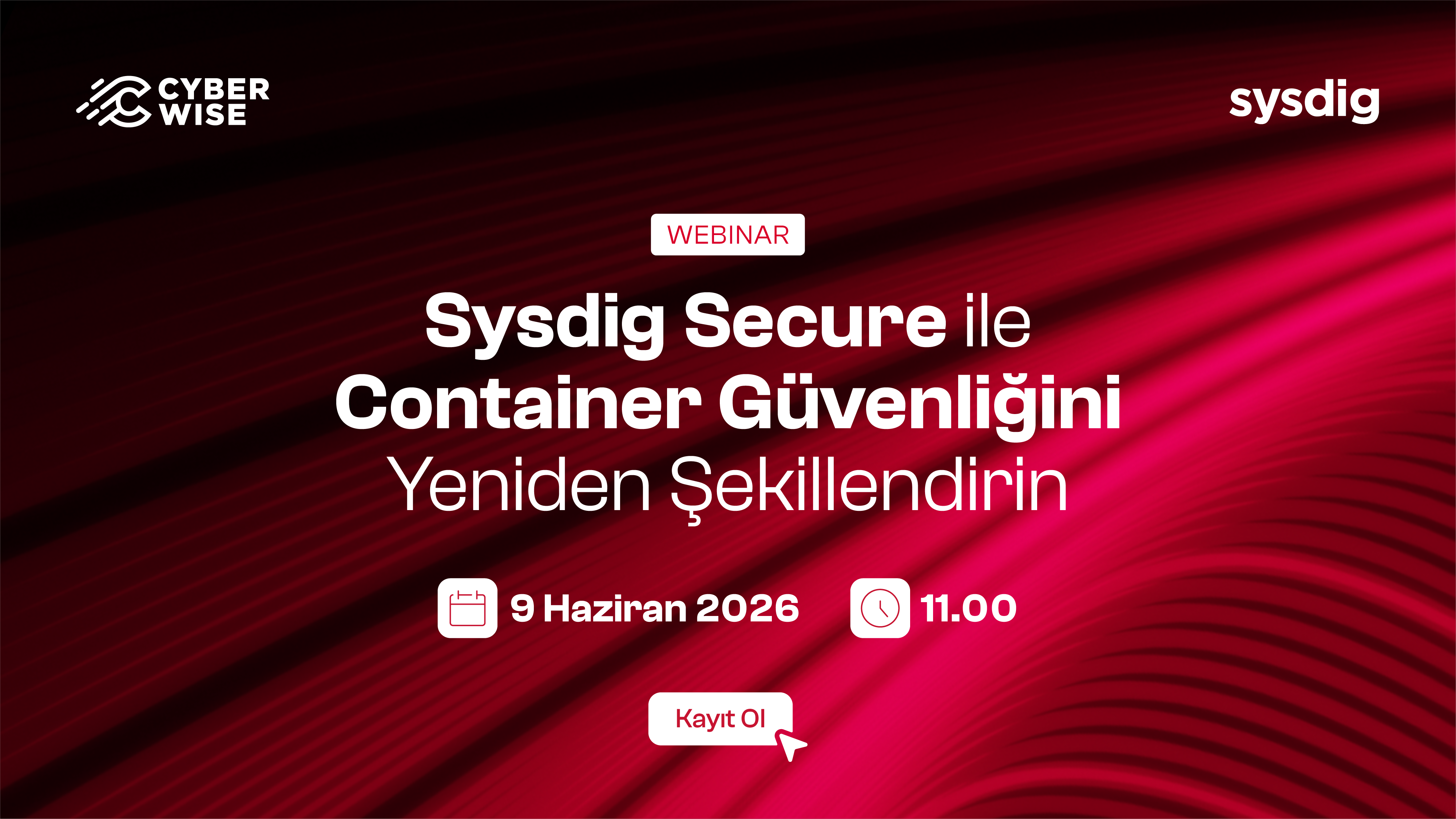 cyberwise-banner