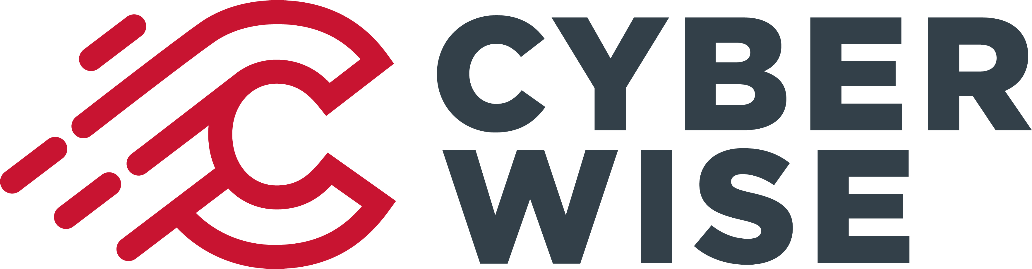 cyberwise-logo